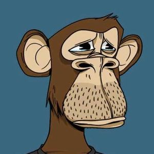 Meet your Posher, Jeremy